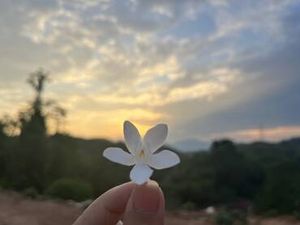รูปภาพที่โพสต์โดย ด่างอยากไปตะเลลลลล