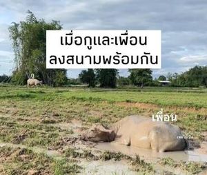 รูปภาพที่โพสต์โดย 𝑨𝒓𝒊𝒆𝒍🪸🫧