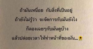 รูปภาพที่โพสต์โดย 😼[Q]