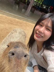 รูปภาพที่โพสต์โดย 🥹