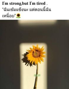 รูปภาพที่โพสต์โดย เหนื่อยจัง🥺꧁🌞ตะวันจันทรา🌝꧂