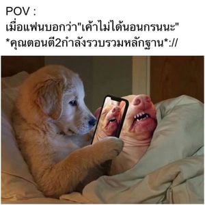comments.image-posted-by