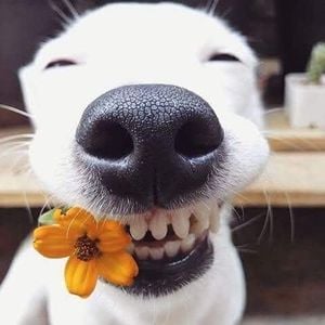 Image posted by 1%