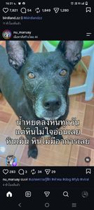 รูปภาพที่โพสต์โดย หยุดโง่ได้แล้ว..