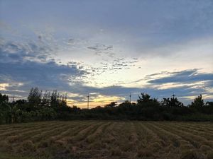 รูปภาพที่โพสต์โดย 💫🍵💫