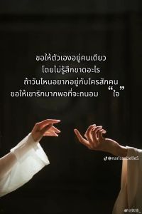 รูปภาพที่โพสต์โดย 🩵😻🐈😺🐈‍⬛😽💙