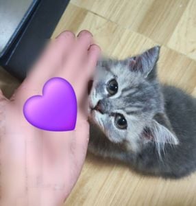 Image posted by . ʝʍ .🐶 อย่ามายุ่ง!!!