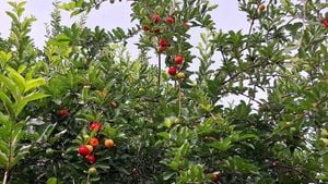 รูปภาพที่โพสต์โดย 🩷