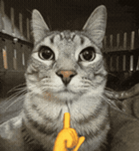 Image posted by 16