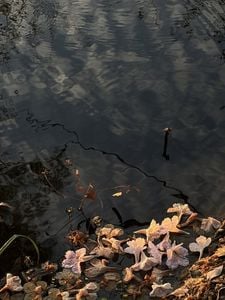 รูปภาพที่โพสต์โดย 🏊🏻‍♀️