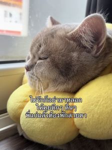 รูปภาพที่โพสต์โดย 𝓙 ྀི