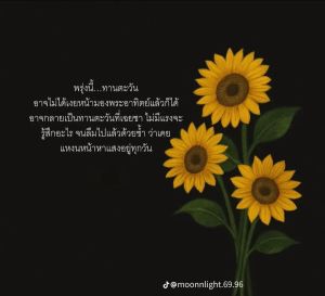 รูปภาพที่โพสต์โดย 🌷ใจบางเป็นทิชชู่🌷