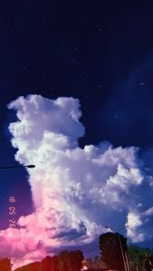 Image posted by ❤️🩷🧡💛💛💚💙🩵💙💚💚💛🧡🧡🩷💜🤎