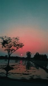 Image posted by ❤️🩷🧡💛💛💚💙🩵💙💚💚💛🧡🧡🩷💜🤎