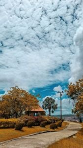 Image posted by ❤️🩷🧡💛💛💚💙🩵💙💚💚💛🧡🧡🩷💜🤎