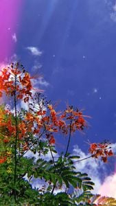 Image posted by ❤️🩷🧡💛💛💚💙🩵💙💚💚💛🧡🧡🩷💜🤎