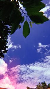 Image posted by ❤️🩷🧡💛💛💚💙🩵💙💚💚💛🧡🧡🩷💜🤎