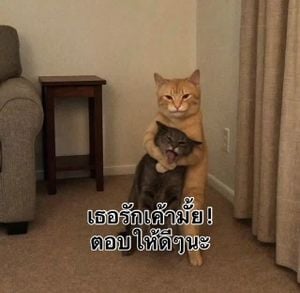 รูปภาพที่โพสต์โดย ᴊᴀʏ