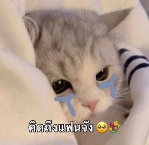 รูปภาพที่โพสต์โดย ᴊᴀʏ