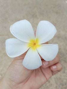 รูปภาพที่โพสต์โดย 💛