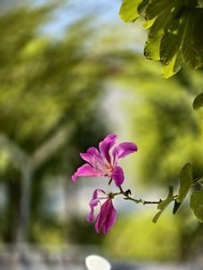 comments.image-posted-by