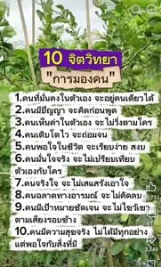 Image posted by Sasi