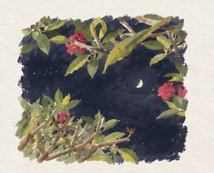 Image posted by Journal