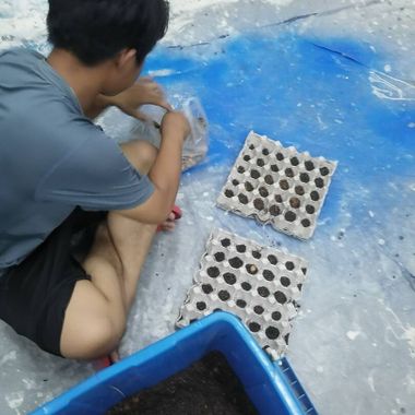 แชท หาแฟน, หาเพื่อนคุย 