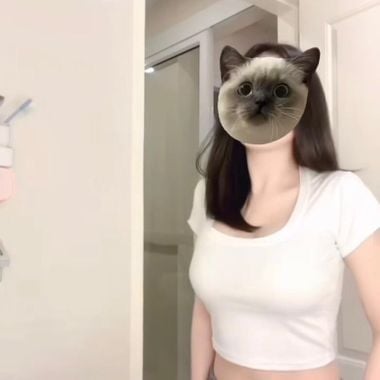 แชท โสด