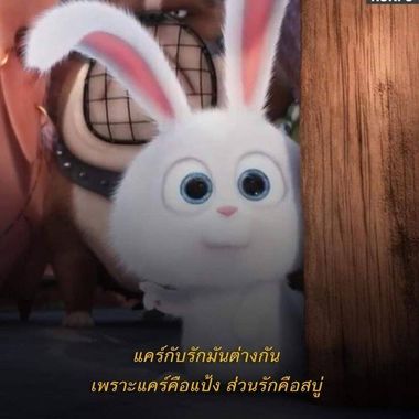แชท หาเพื่อนคุย, หาเพื่อนเที่ยว