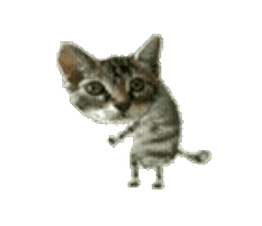 แชท หาเพื่อนคุย, โสด 