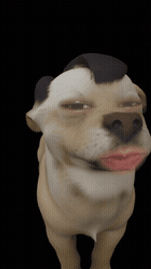 chat looking for friends 