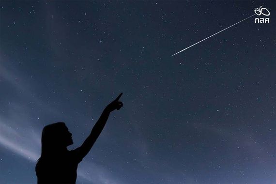 chat looking for friends 