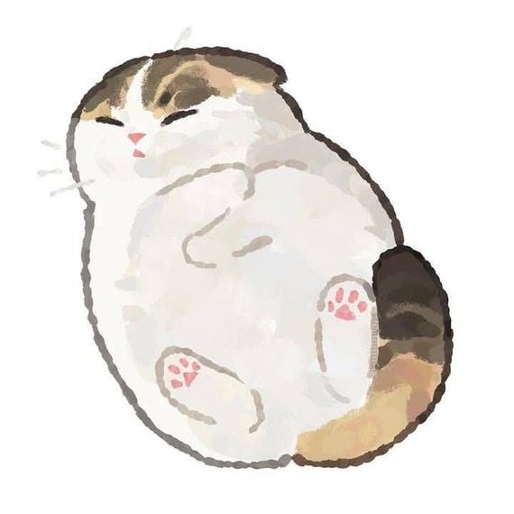 แชท หญิง
