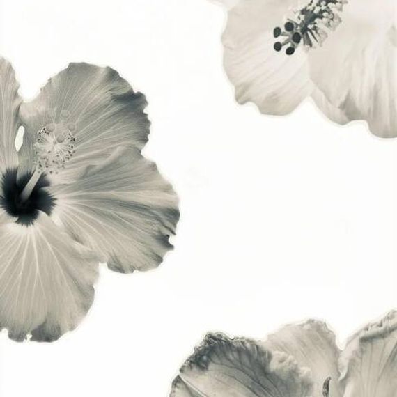 แชท แชทเปิดกล้อง, หาเพื่อนคุย 