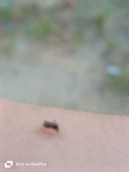 แชท หาเพื่อนคุย  ที่อยู่ จ. สมุทรปราการ