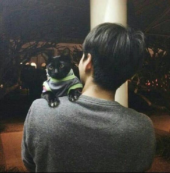 แชท หาเพื่อนคุย 