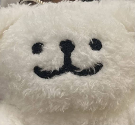 chat looking for friends 