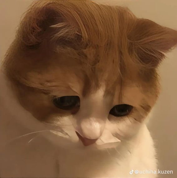 chat single 