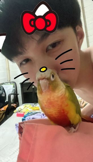 chat looking for friends 