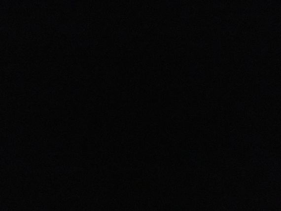 แชท ไบโบท 