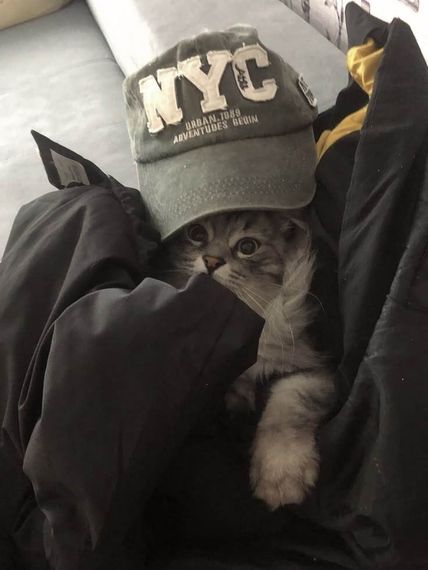 chat find love, chat 