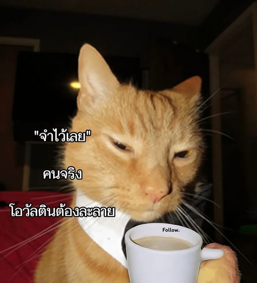 แชท หาเพื่อนคุย  ที่อยู่ จ. นครสวรรค์