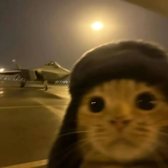 chat looking for friends 