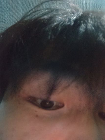 แชท ไบโบท 