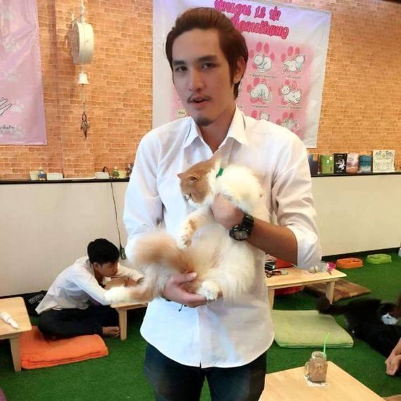 แชท หาแฟน, หาเพื่อนคุย 