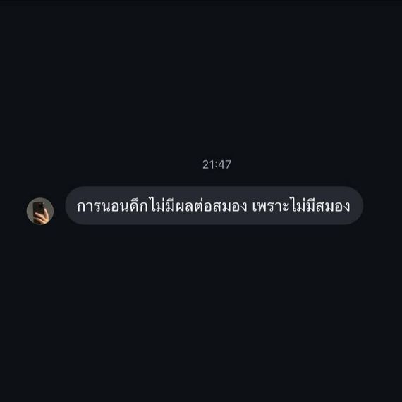 แชท หาเพื่อนคุย 