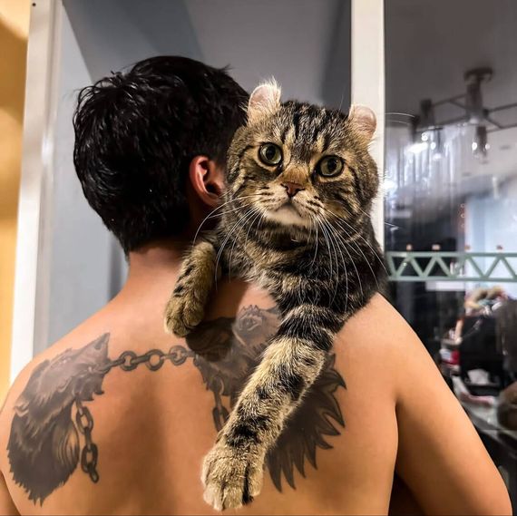 chat single  from Bangkok
