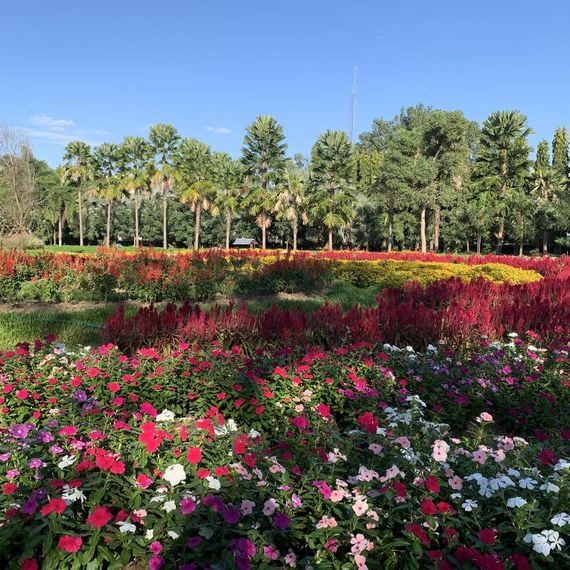 แชท หาแฟน, หาเพื่อนคุย 