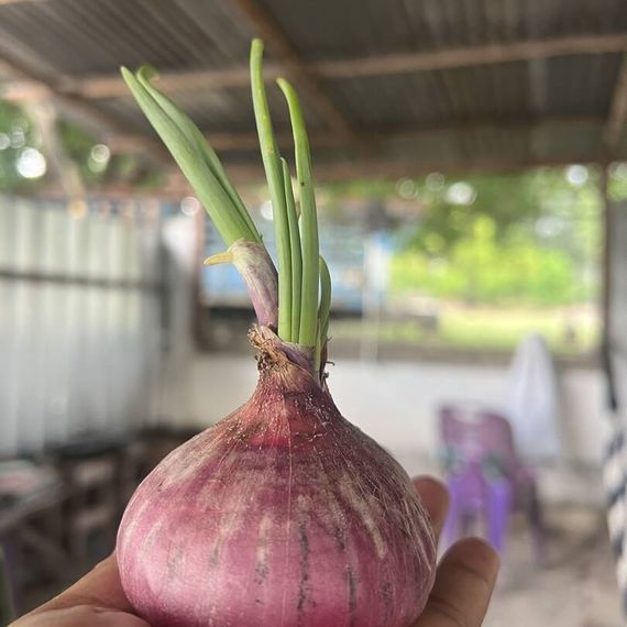 แชท หาเพื่อนคุย, หาเพื่อนเที่ยว 